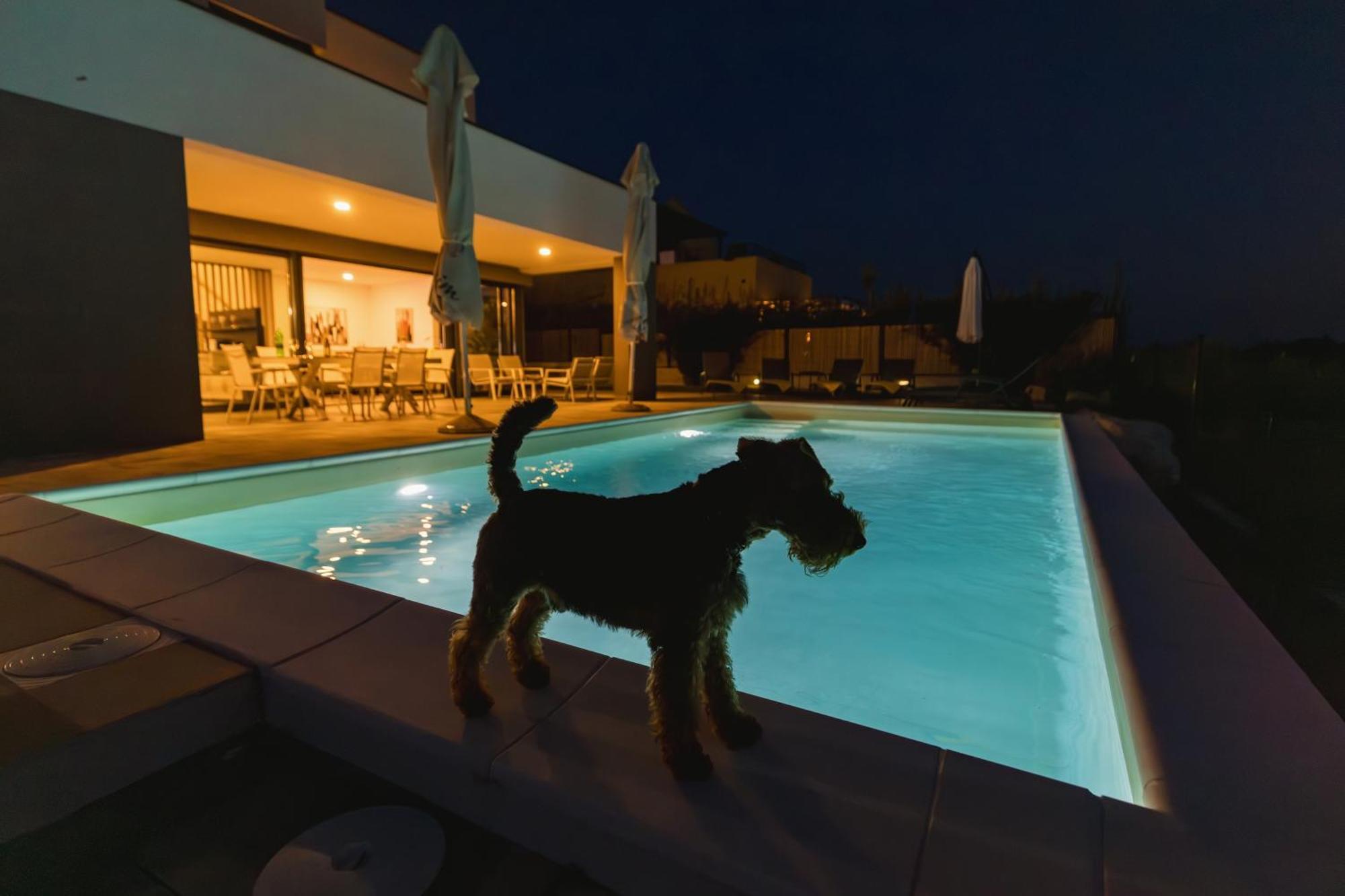 Villa Boiky - Private Pool And Amazing Sea View, Istria Materada Exteriör bild