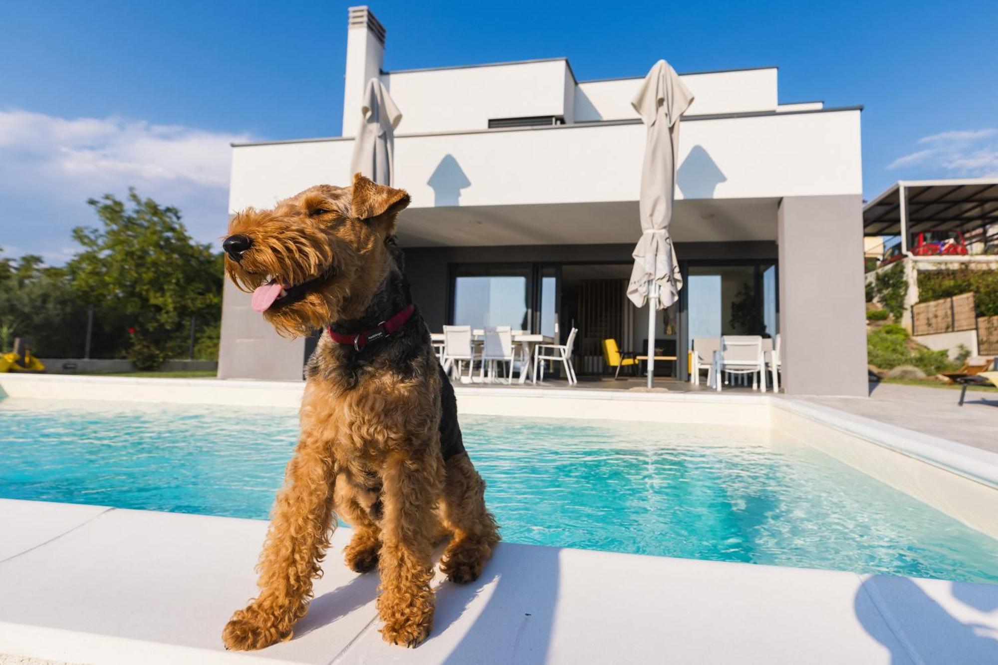 Villa Boiky - Private Pool And Amazing Sea View, Istria Materada Exteriör bild